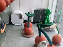 -极木²邸 人与宠物·互动社区