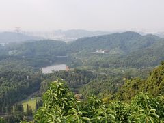 -深圳仙湖植物园-停车场