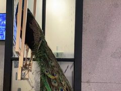 -火啫啫·粤式啫啫煲(南通首店)
