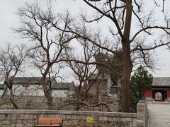 -北京凤凰岭