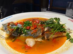 -坛宗剁椒鱼头(河西王府井店)