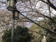 -苏州上方山国家森林公园