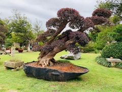 -山水间小院