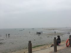 -北海金海湾红树林生态旅游区