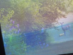 -大桶大足浴(南翔店)