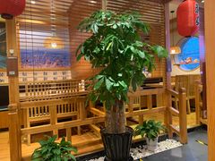 -山之川日料放题(通州店)