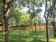 -西园戒幢律寺