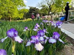 -国家植物园南园