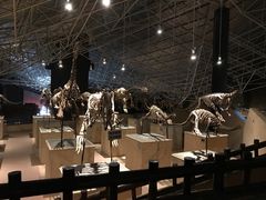 -世界恐龙谷景区