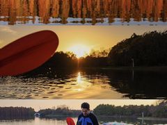 -上海海湾国家森林公园