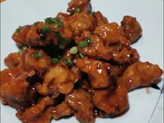 -新天明砂锅鱼头煲