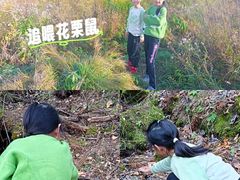 -五营红松林海景区