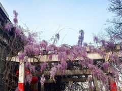 -晋阳饭庄(虎坊桥店)