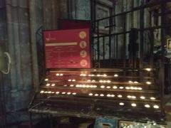 -斯蒂芬主教座堂(Stephansdom)