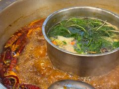 -金鼎雪山牦牛杂火锅(理县总店)