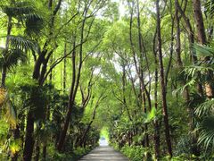 -同里国家湿地公园
