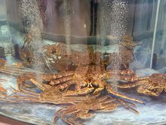 -海底捞大排档火锅(打浦路店)