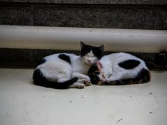 -北京市陈经纶中学