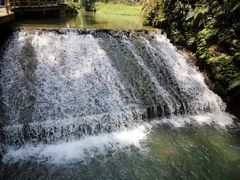 -梦幻奥陶纪景区