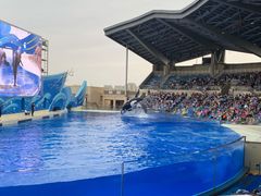 -上海海昌海洋公园