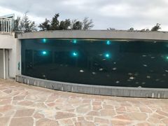 -瑞德姆美人鱼海底演艺主题餐厅(亚龙湾店)
