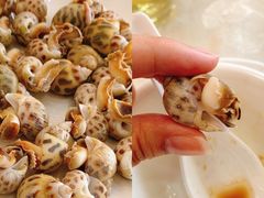 白灼花螺-奇香海鲜酒楼