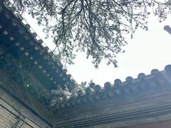 -潭柘寺景区