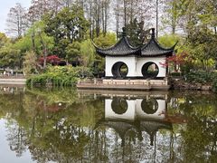 -红梅公园