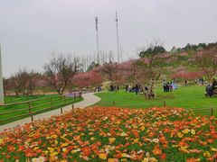 -秀丽东方