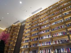 -深影国际影城(学院南路店CGS中国巨幕店)