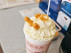 -初茶花月·重庆特产(大融城店)