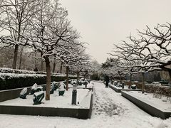 -金宫殿故址