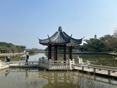 -江心屿景区