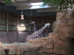 -林肯公园动物园