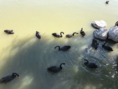 -天津东丽湖风景区