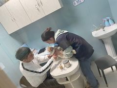 -关爱动物医院·心脏·中兽医·异宠(金牛路分院)