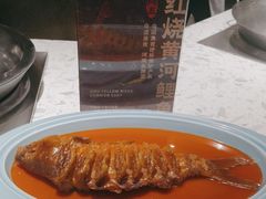 -阿五黄河大鲤鱼(英协路店)