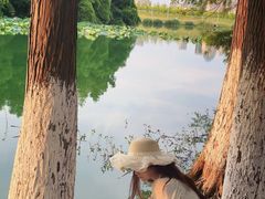 -艾溪湖湿地公园