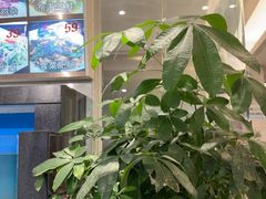 -华盛丰温州大排档(东三环南路店)