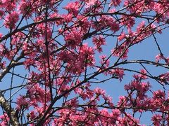 -白塘生态植物园