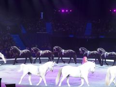 -珠海横琴长隆《卡卡虎奇遇记》