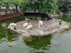 -大连老虎滩海洋公园