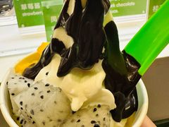 -Salud撒露欧洲冻酸奶(蓝色港湾店)