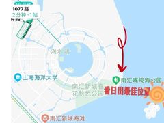 -南汇嘴观海公园