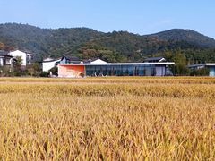 -东钱湖旅游度假区