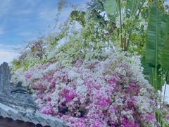 -深圳国际园林花卉博览园