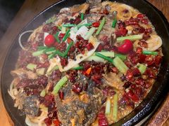 -老板恋上鱼(高新万达店)