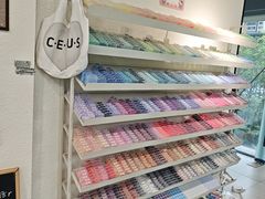 -Cetus coffee鲸鱼座咖啡·拼豆(二仙桥公园店)