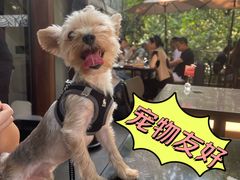 -Ginger(兴国路店)