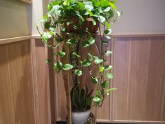 -周渝食惦酸菜鱼(青浦店)